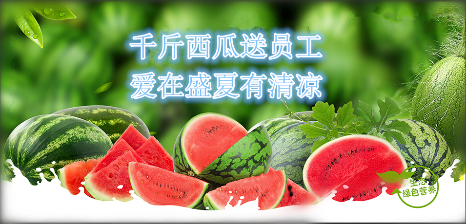 通達軟件公司： 千斤西瓜送員工，愛在盛夏有清涼